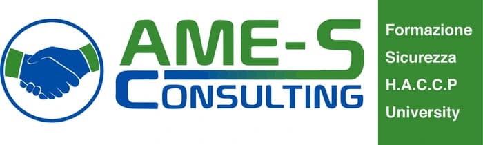 AME-S Consulting